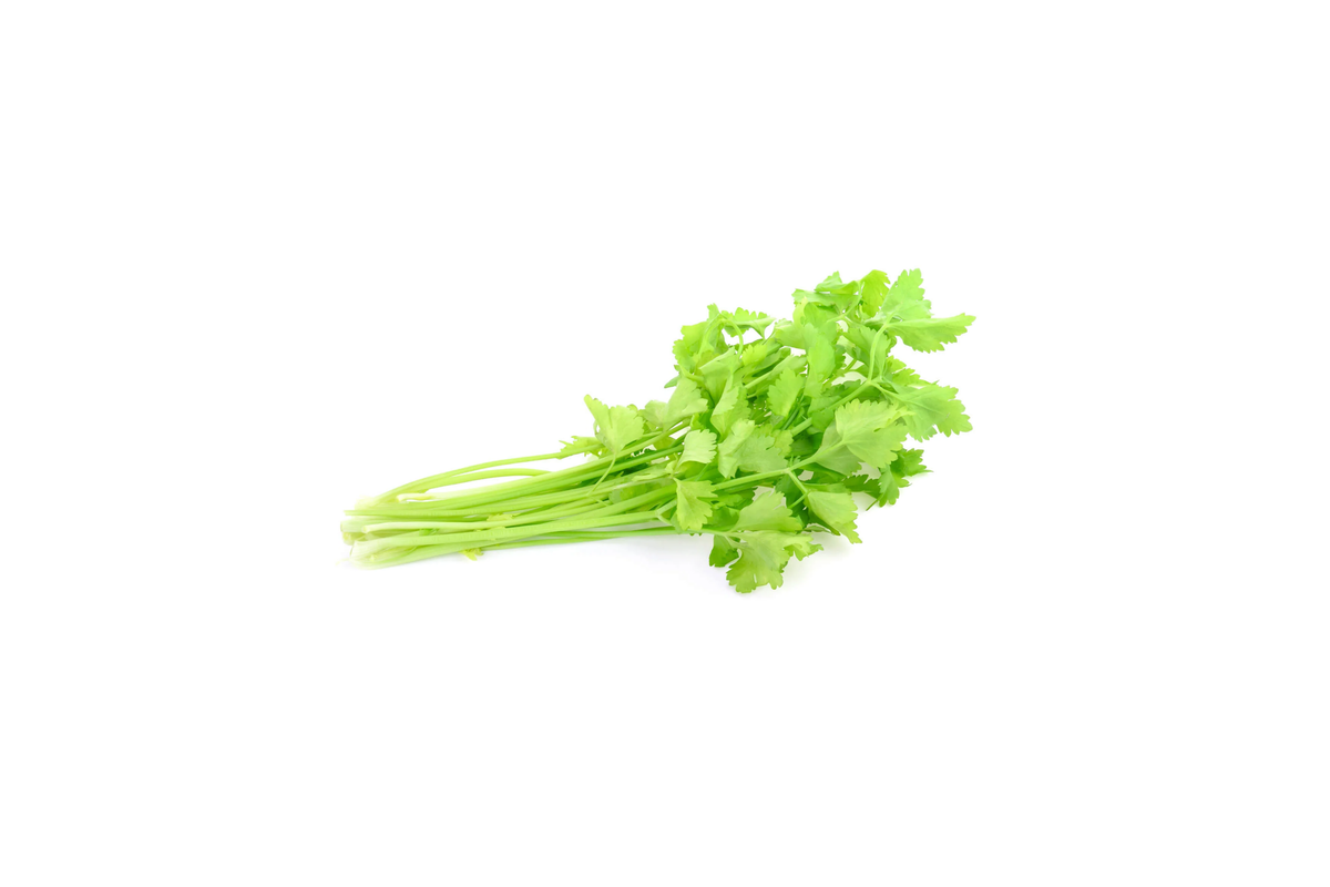 Chinese Celery Seeds | Green Leaf Variety | Nan Ling Celery | Kintsai | Kin Chai