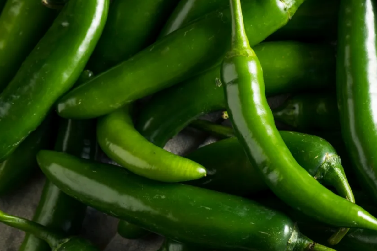 Hybrid Long Green Chili Peppers | NON-GMO | Capsicum annuum