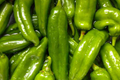 250mg Sandia Hot Pepper Seeds Capsicum annuum | Medium-Hot Chile, Heirloom Variety, Non-GMO, Great for Roasting, Salsas & Drying