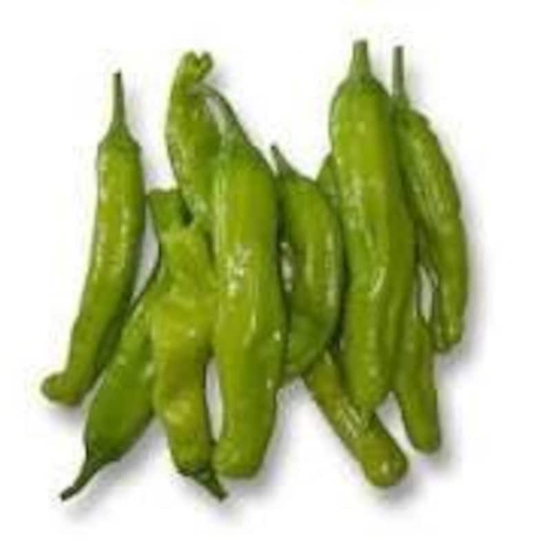 Shishito Pepper Plant - 1 Live Plant in 3" Pot - Capsicum annuum