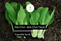 Pak Choi Seeds - Heirloom Taisai Bok Choi Asian Greens 500mg