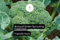 Broccoli Green Sprouting Calabrese Seeds - Heirloom Italian Variety, 1g