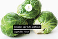 Catskill Brussels Sprout Seeds 1g Heirloom Cool-Season Crop