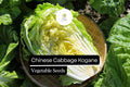 500mg Kogane Napa Cabbage Seeds - Sweet & Crisp Brassica rapa
