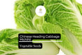 Michihli Napa Cabbage Seeds - 500mg Sweet Crisp Heirloom