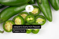 300mg Early Jalapeño Pepper Seeds - Non-GMO, Mild-Medium Heat