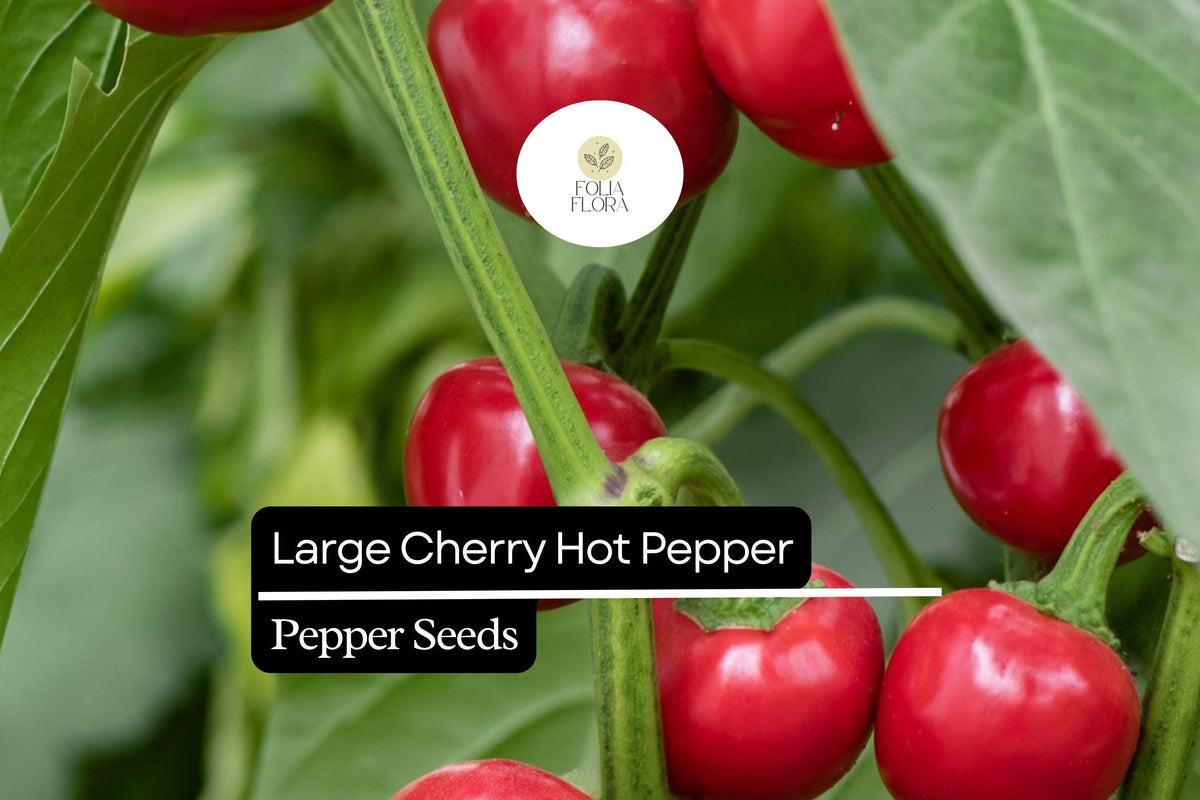 Large Cherry Hot Pepper Seeds 250mg Mild Heat for Pickling and Garnishing