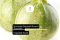 Round Zucchini Seeds - Non-GMO Summer Squash (1g)