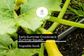 Early Summer Crookneck Squash Seeds – 10 Non-GMO Cucurbita pepo Yellow Summer Squash