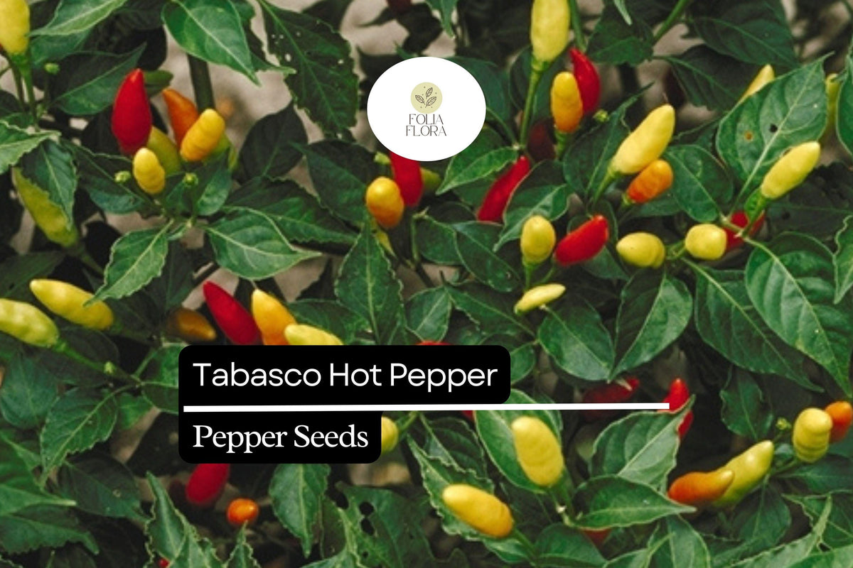 Tabasco Hot Pepper Seeds - Medium-Hot Non-GMO Heirloom Pepper Seeds (250mg)