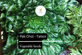 Tatsoi Seeds - 500mg Heirloom Pak Choi Asian Greens