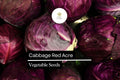 Red Acre Cabbage Seeds – 1g Heirloom, Sweet & Crisp