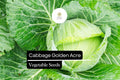 Golden Acre Cabbage Seeds - 1g Heirloom Sweet & Tender