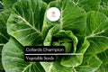 Collards Champion Seeds – 1g Heirloom Brassica oleracea for Gardens & Containers