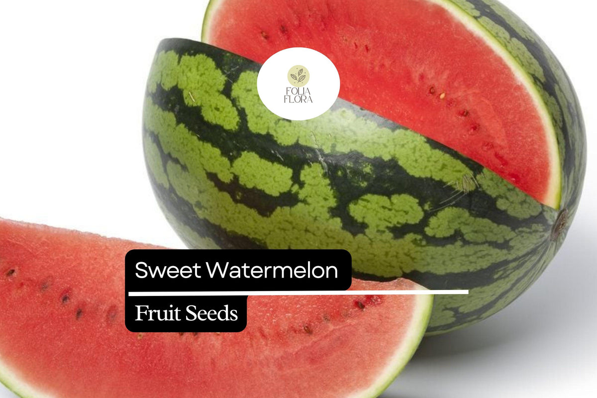 25 Sweet Watermelon Seeds – Juicy Heirloom Summer Garden Fruit
