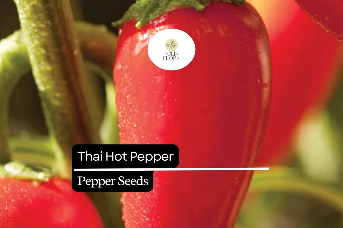 Thai Hot Pepper Seeds – 30 Heirloom Spicy Chili Seeds for Planting
