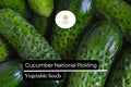National Pickling Cucumber Seeds - 1g Heirloom High-Yield Variety
