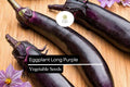 Long Purple Eggplant Seeds – 300mg Heirloom Solanum melongena