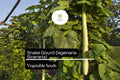 Snake Gourd Seeds - 10 Heirloom Non-GMO Exotic Vegetable Seeds (Lagenaria siceraria)