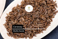 Caraway Seeds 1g | Carum carvi | Heirloom Non-GMO Culinary Herb