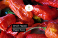 Ghost Pepper Seeds, Bhut Jolokia Hot Chili Pepper, 10 Seeds for Spicy Gardens