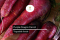 200 Purple Dragon Carrot Seeds – Heirloom Daucus Carota