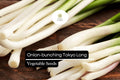Tokyo Long White Onion Seeds - Heirloom Non-GMO 1g