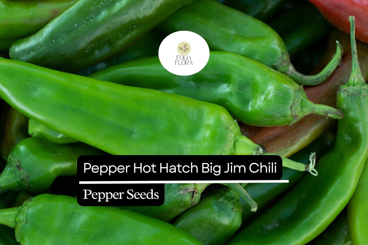 300mg Big Jim Hatch Chili Pepper Seeds - Non-GMO Mild-Medium Heat
