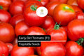 10 Early Girl Tomato Seeds F1 Hybrid Fast-Maturing Sweet Juicy Variety