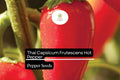 Thai Hot Pepper Seeds 250mg | Capsicum frutescens Non-GMO