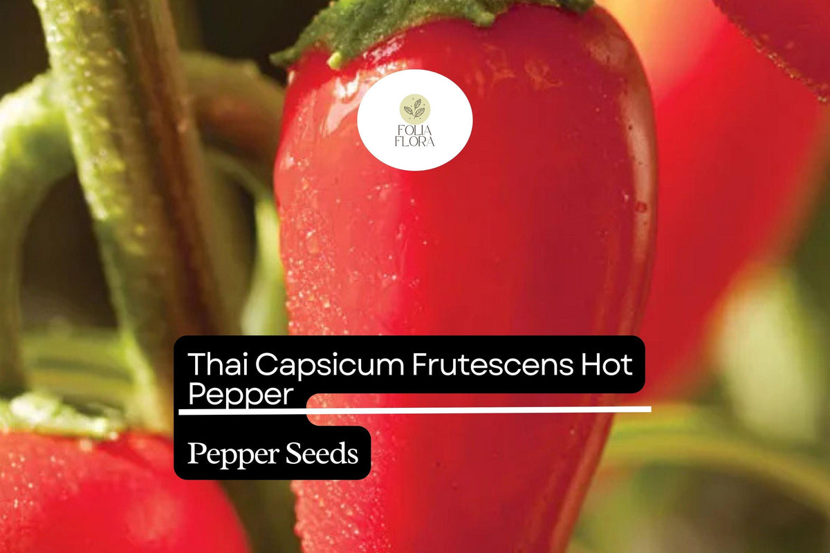 Thai Hot Pepper Seeds 250mg | Capsicum frutescens Non-GMO