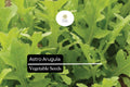 Astro Arugula Seeds – 300 Organic Fast-Growing Mild Salad Greens