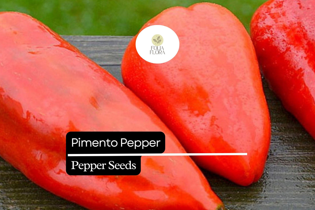 25 Pimento Pepper Seeds – Sweet Heirloom Capsicum Annuum