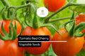 Heirloom Red Cherry Tomato Seeds 100mg | Sweet Salad Vegetable, Non-GMO
