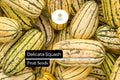 Delicata Squash Seeds – 20 Seeds, Sweet Nutty Winter Squash (Cucurbita pepo)
