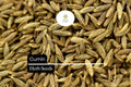 250 Cumin Seeds (Cuminum cyminum) – Aromatic Spice Herb for Cooking