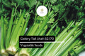 Tall Utah Celery Seeds Heirloom Sweet & Crisp 500 Seeds