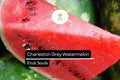 Charleston Grey Watermelon Seeds – 20 Seeds, Citrullus lanatus, Sweet Juicy Summer Melon
