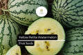 Yellow Petite Watermelon Seeds (Citrullus lanatus) - 5 Sweet Small Yellow-Fleshed Seeds