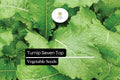 Seven Top Turnip Seeds 1g | Heirloom Leafy Greens for Salads