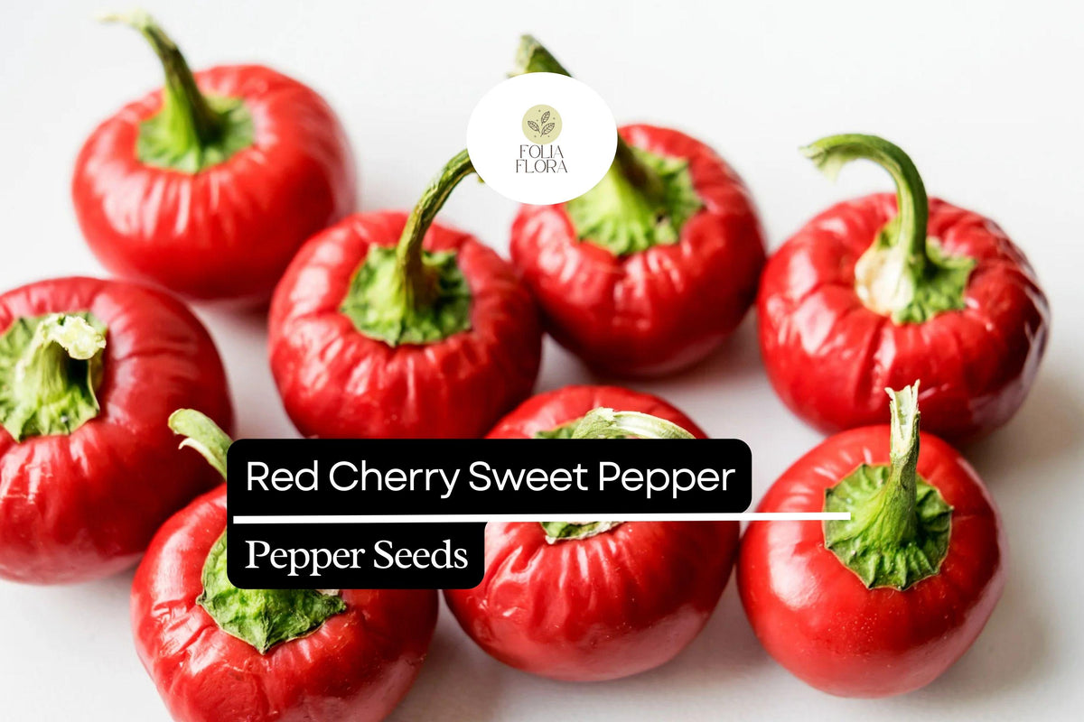 Red Cherry Sweet Pepper Seeds - Heirloom Capsicum annuum, 250mg