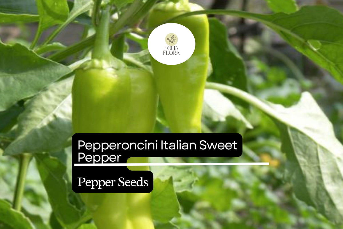 250mg Pepperoncini Pepper Seeds - Italian Sweet Pickling Pepper, Non-GMO