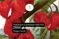 250mg Caribbean Red Habanero Pepper Seeds - Spicy High Yield Hot Pepper