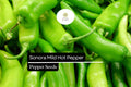 Sonora Mild Hot Pepper Seeds - Heirloom High-Yield Variety (250mg)