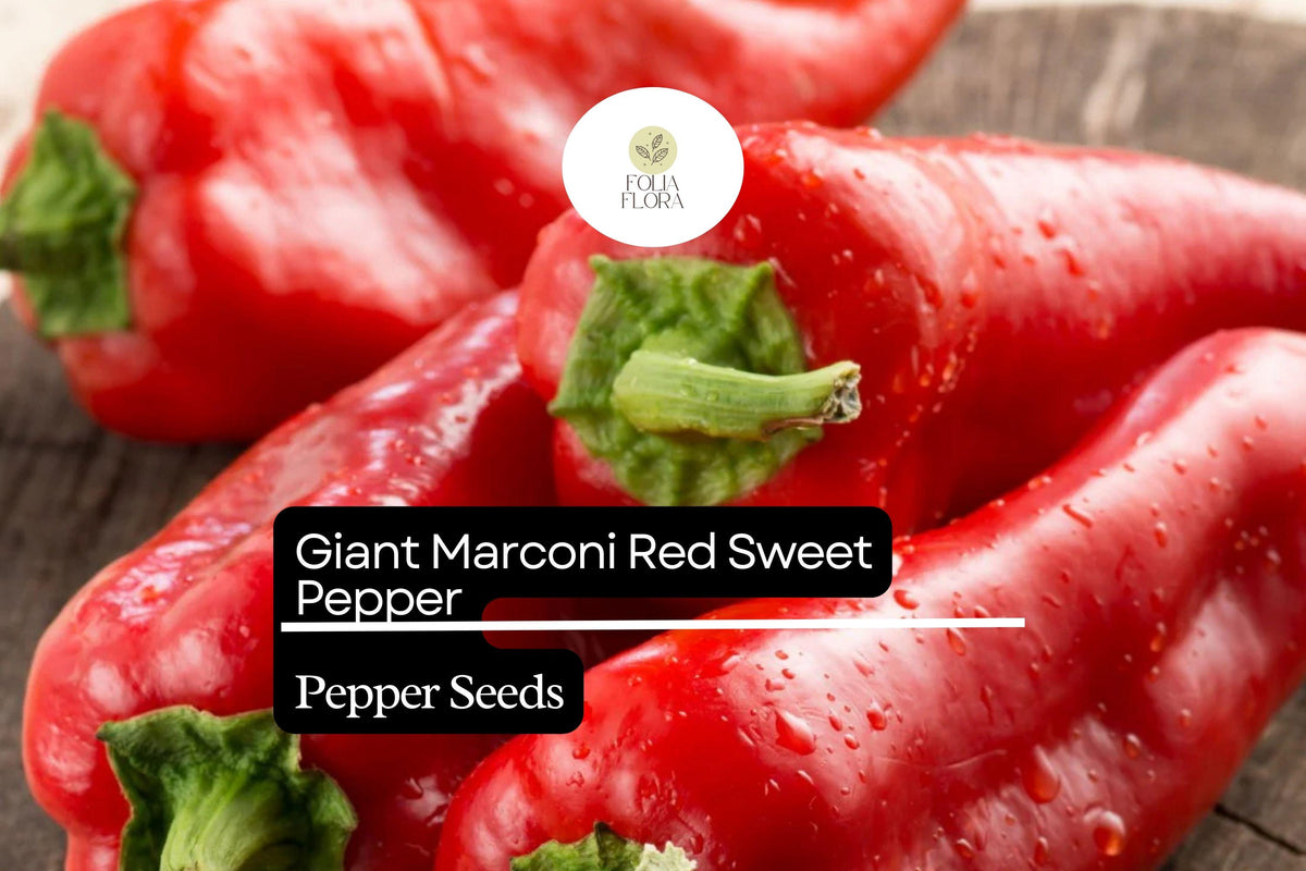 250mg Giant Marconi Red Pepper Seeds - Sweet, Smoky, High Yield