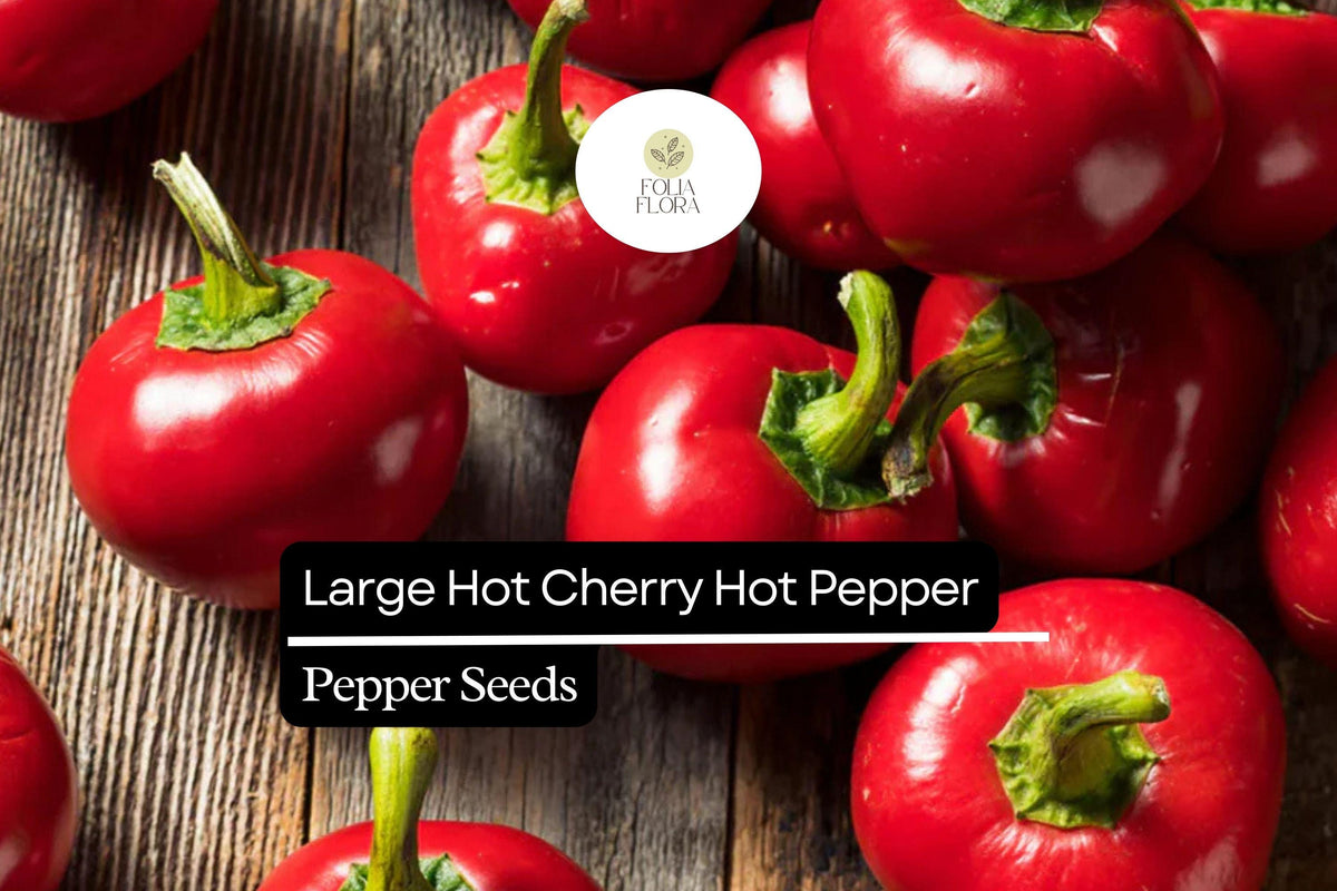 Hot Cherry Pepper Seeds - 250mg Non-GMO Capsicum Annuum
