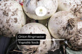 Ringmaster Onion Seeds - Crisp White Bulbs, Easy to Grow (250mg)
