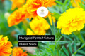 Marigold Petite Mixture Seeds – 500mg Compact French Marigolds for Gardens & Containers