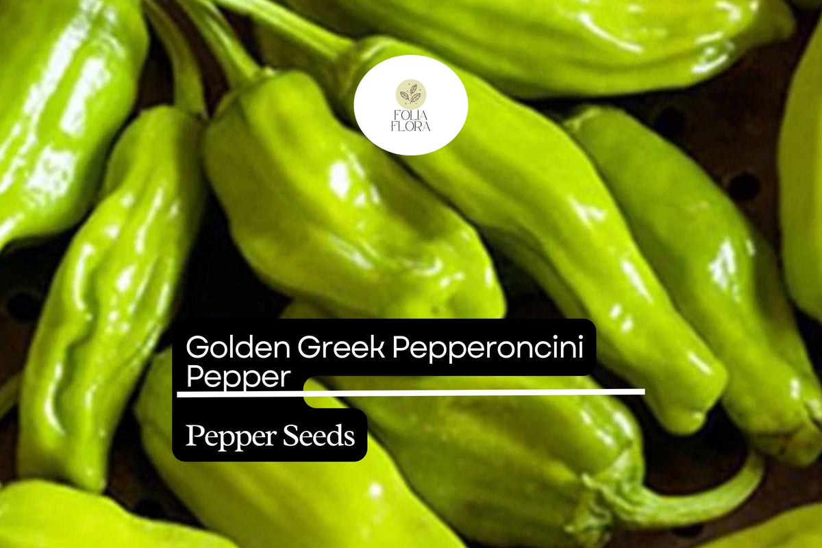 Golden Greek Pepperoncini Seeds – 30 Mild Pepper Seeds, Capsicum annuum
