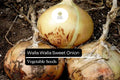 Walla Walla Sweet Onion Seeds – 100 Seeds, Allium cepa, Large Mild Onions